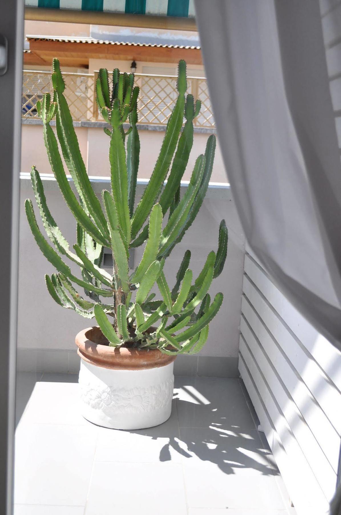 Glamroom Luxury Terrace Gasthuis