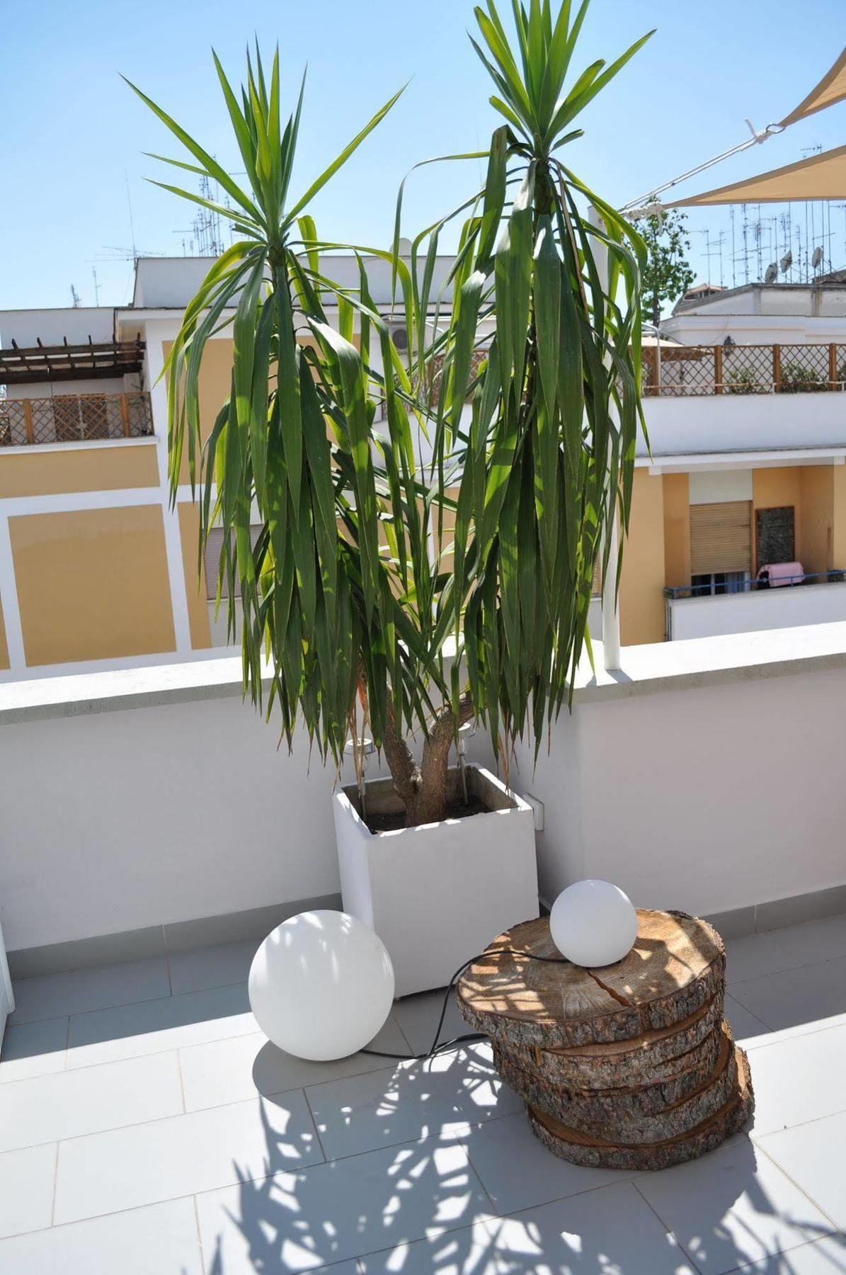 Gasthuis Glamroom Luxury Terrace